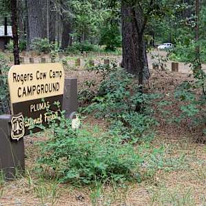 NFS campground sign