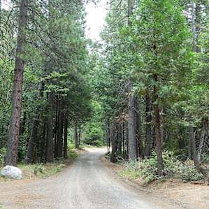 Half mile from pavement; even the BMW can make it