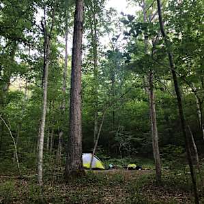 Campsite #1 (view from the creek)