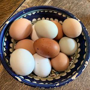 Fresh eggs during our stay