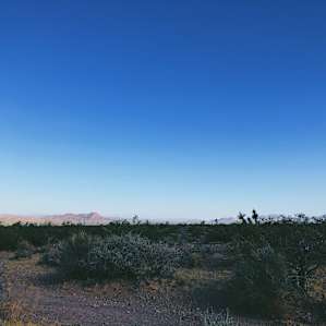 Silver Sunsets!