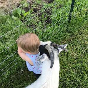 It must be love.