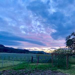 Sunset Farms Sanctuary