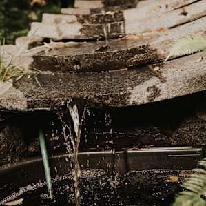"Little Jewel Box in the Woods"
