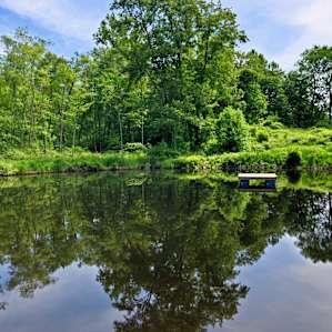Swimming hole available to campers