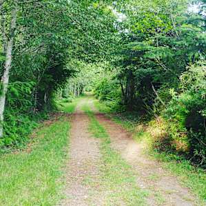 Hemlock, 124 Acre Farm Wetlands