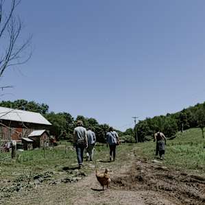 Tour and history of the farm lead by incredibly friendly farmhands.