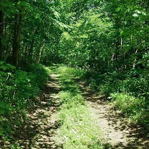 Nice paths