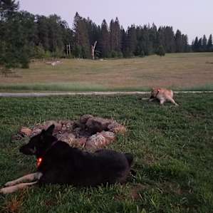 Everyone loves the open spaces
