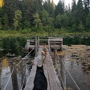 The lake, More of a pond, don't recommend swimming or fishing due to alot of algae and weeds, and tons of mosquitoes! its cute though!