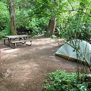 Site #14, by the river and shaded from the road.