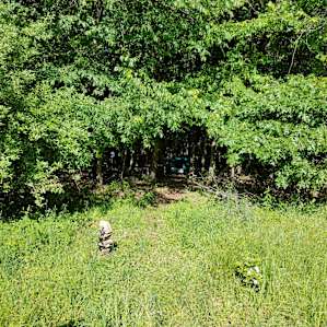 Barakah Heritage Farm Deer Meadow