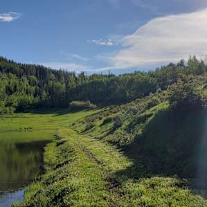 Ute Lodge fishing pond