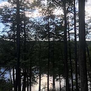 View of Pelton Pond a few steps from campsite 40.