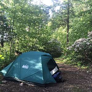 Campsite 40.