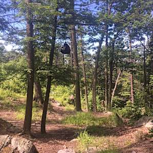 Campsite 40, looking southwest