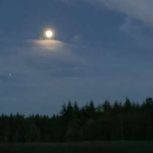 Moe’s meadow during during the clear evening and great moon