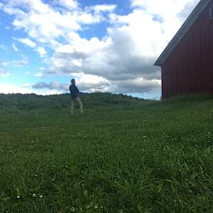 John checking out the Sheep below the barn