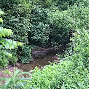 Camping in the Hocking Hills