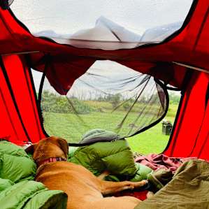 Hudson Valley Farm Camping