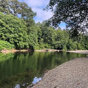 Humptulips Valley river camp