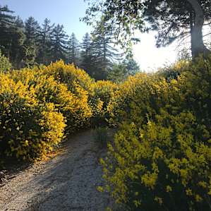 Valley Forge Trail Camp