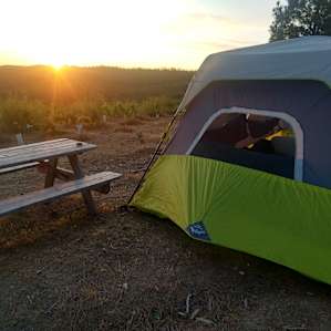 Yosemite Garden Camp Tent Site 2