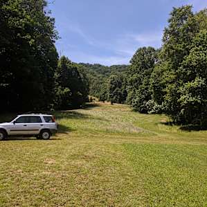 The view up the hill towards campsites 3 and 4 (I think)