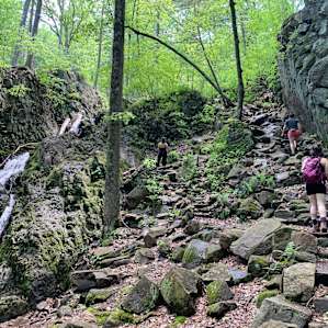 A nearby waterfall on the AT.