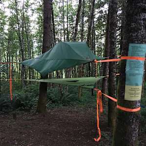 Relatives' Land