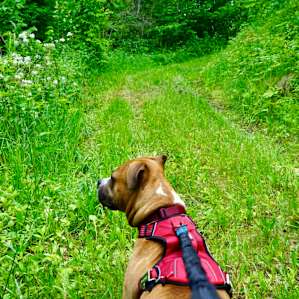 Well maintained trails