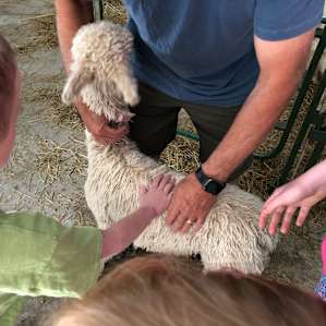 Tim let us pet one of the babies :)