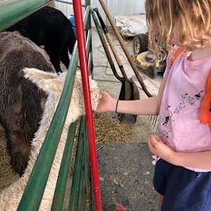 Feeding time.