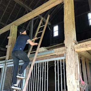 Exploring the barn loft.