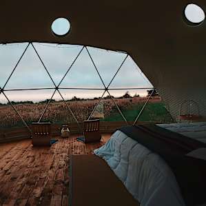 NO PLACE LIKE DOME