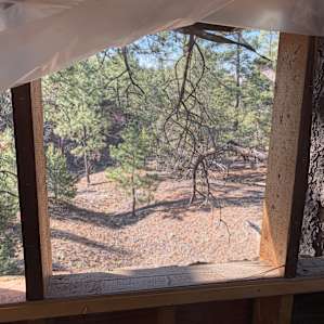 Treehouse Cabins