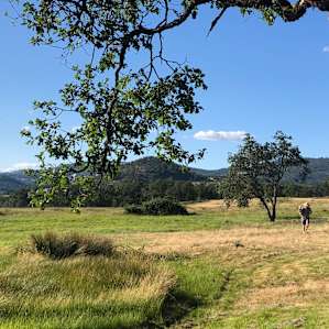 Pasture Camping on the Farm