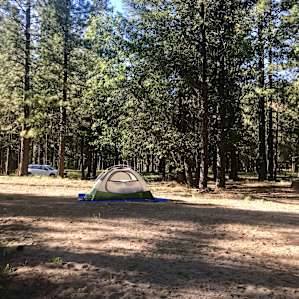 The campsite-in the middle of the Plumas National Forest. So beautiful and secluded!