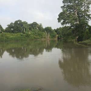 Oxbow Paradise