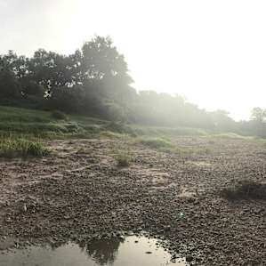 Oxbow Paradise