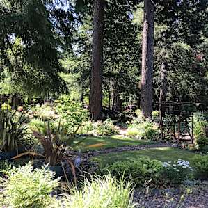 Scenic Smith River Retreat
