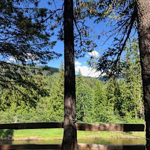 Iron Horse Forest River Cabin