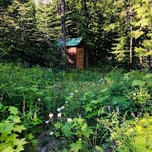 Iron Horse Forest River Cabin