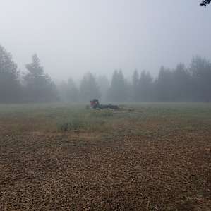 Hillstead Farms