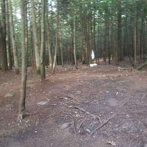 Fyi, that is our trash hanging. The camp site is very clean. If it wasnt for ourselves at the campsite not much to show people were there.