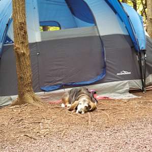 RoundStone Camping Resort