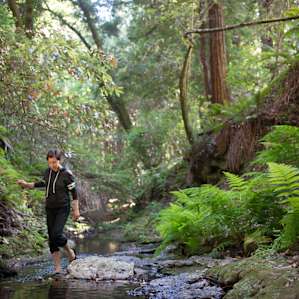 Babbling Bates Creek Camp