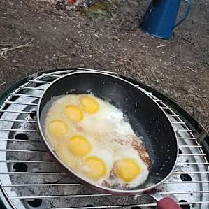 Buck circle campsite