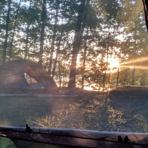 Fresh Life on Beaver Lake