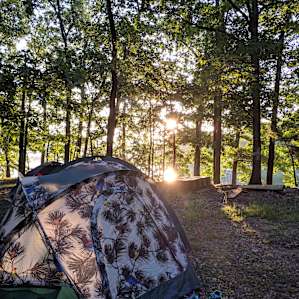 Fresh Life on Beaver Lake